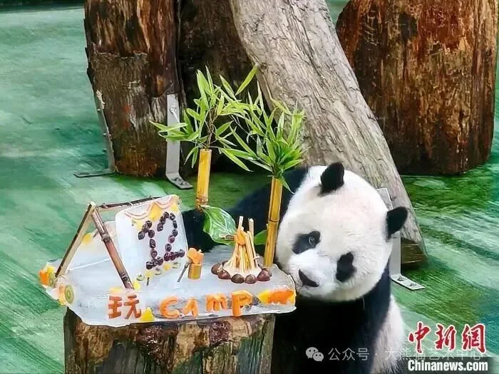 Yuan Zai’s 12th Birthday Ice Cake