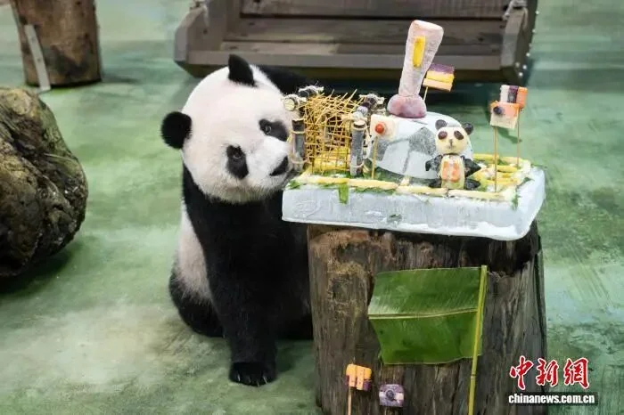 Yuan Zai’s 13th Birthday