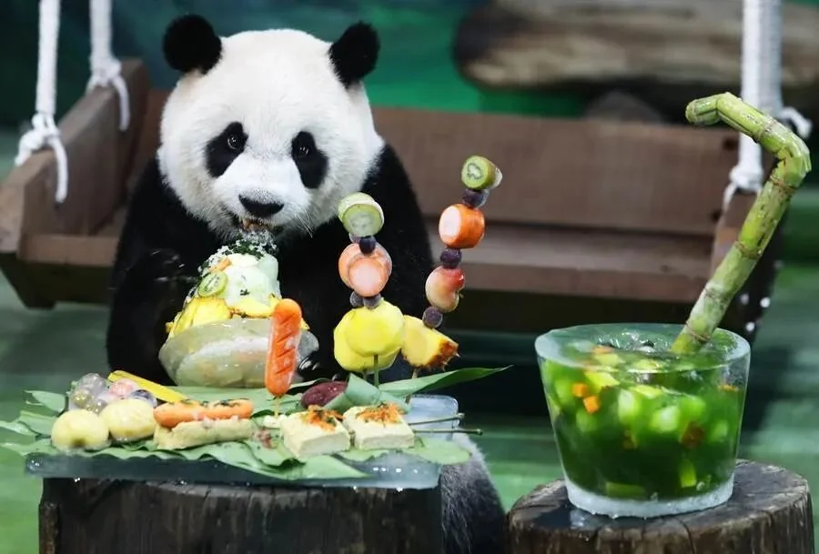 Yuan Zai’s 7th Birthday