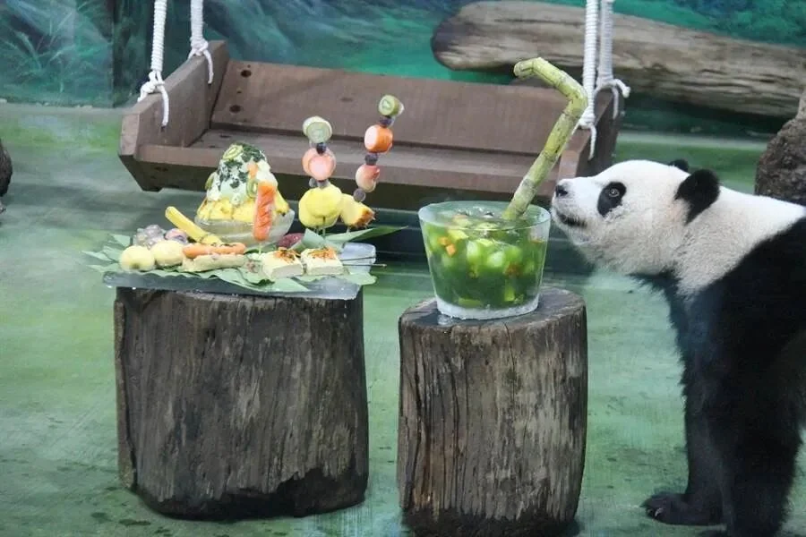 Yuan Zai Sniffing the Ice Cake