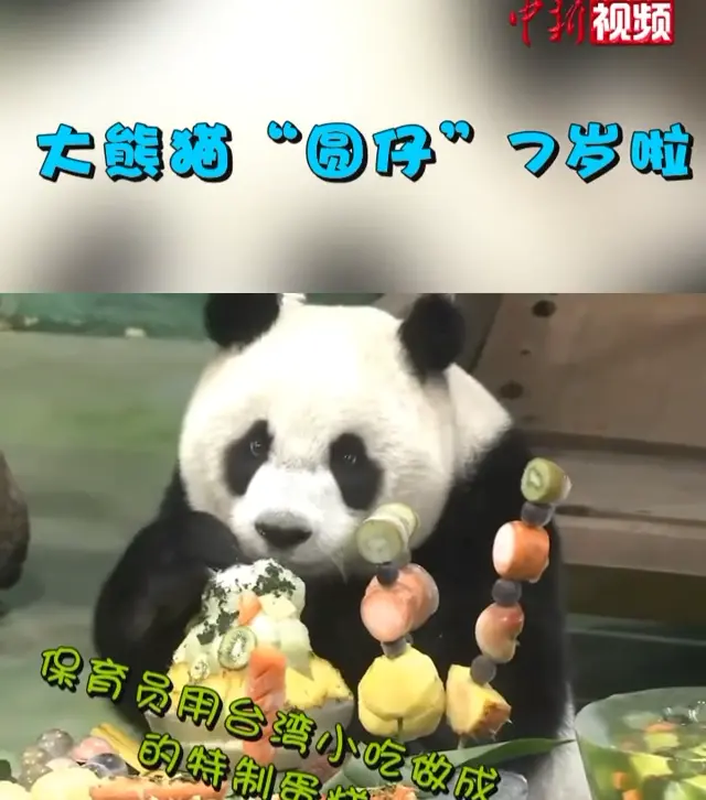 Video thumbnail: Yuan Zai’s Luxurious 7th Birthday
