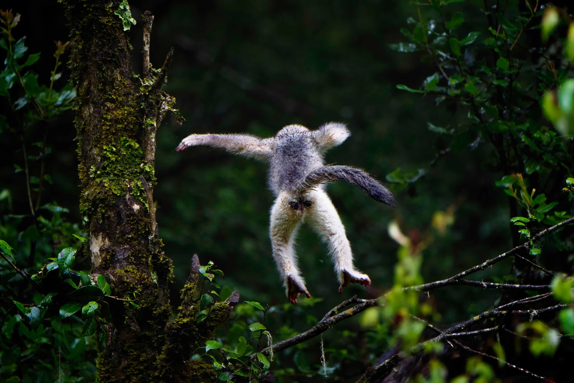 Photo of Yunnan Wildlife Park